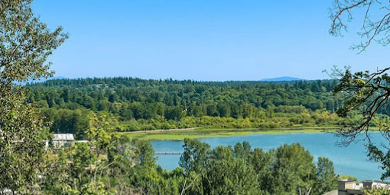 A lake surrounded by dense green trees.