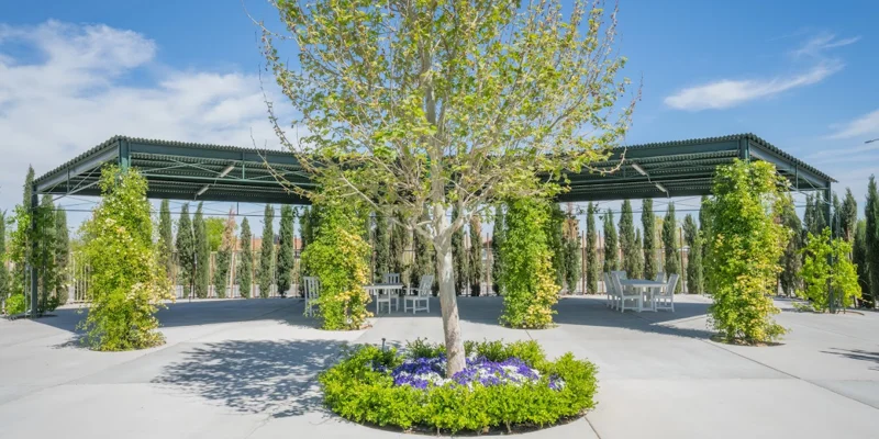 Outdoor area with a tree, flowers, and a shaded patio.