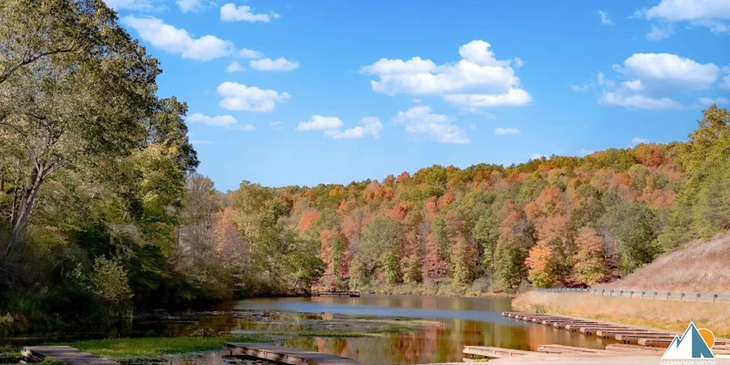 A scenic lake surrounded by autumn trees and a wooden dock
