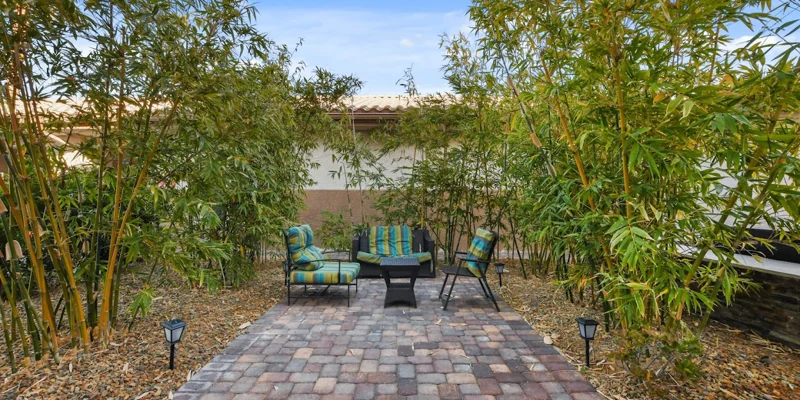 Outdoor patio with plants and a relaxing atmosphere