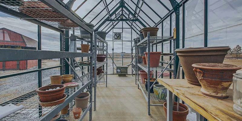 Greenhouse interior with empty pots and metal shelving.