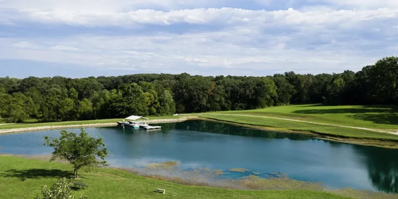 Pond surrounded by trees and grass, with a small dock.