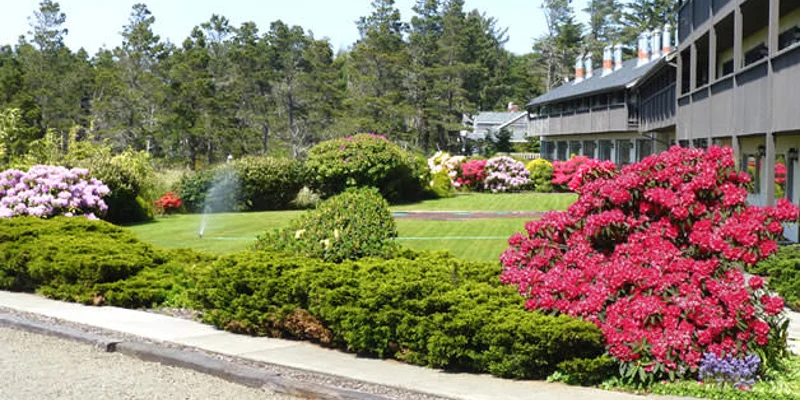  A garden with colorful flowers and a manicured lawn.
