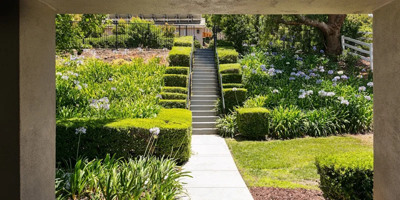 Garden pathway leading to stairs.