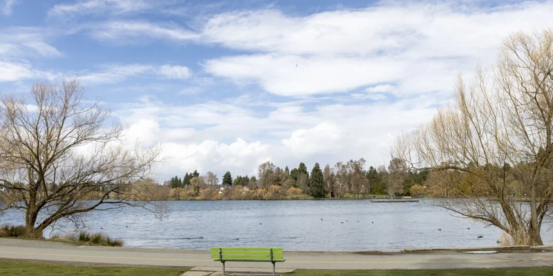 Outdoor seating area next to a pond and trees.