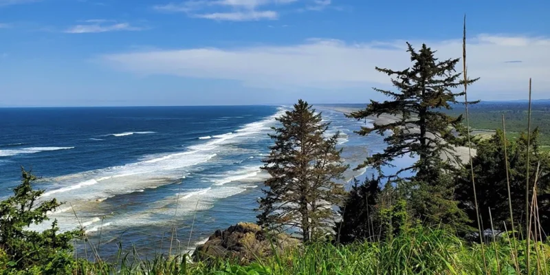 A scenic coastal view with ocean waves and lush greenery.