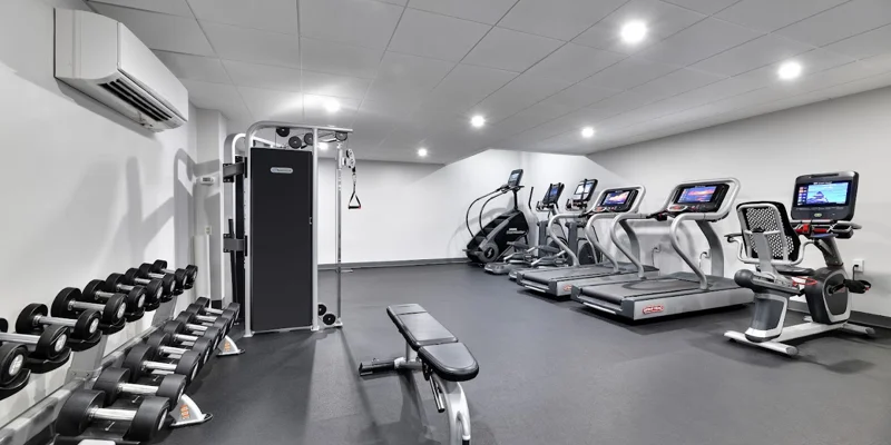 A well-equipped gym with treadmills and weights.