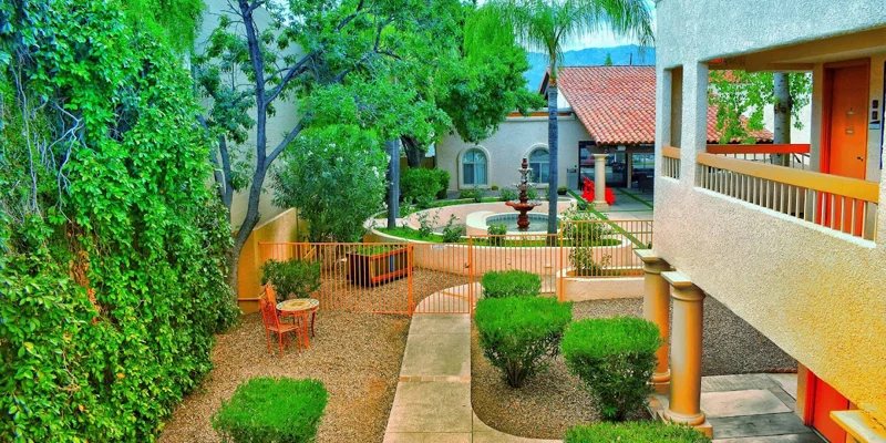 Lush courtyard with a fountain, trees, and seating.