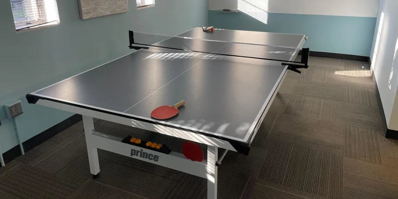 Recreation room featuring a ping pong table and paddles