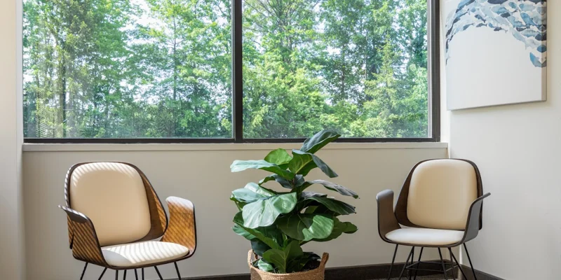 Seating area with two chairs and a large window.