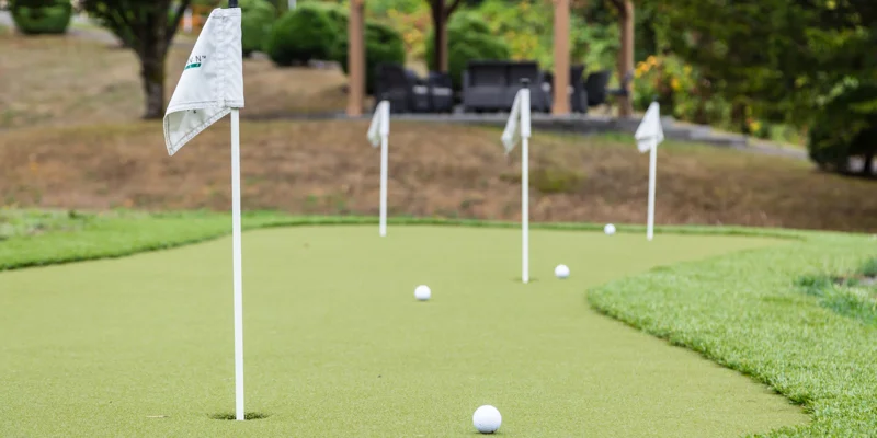A putting green with golf balls and flags in a landscaped outdoor area.