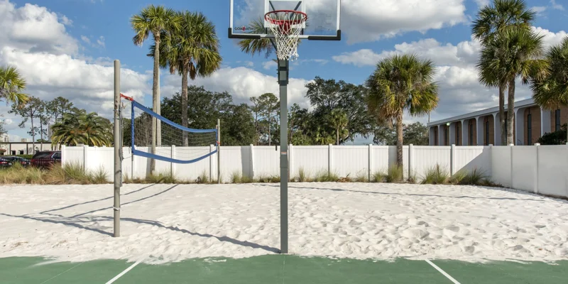 Outdoor basketball and volleyball court surrounded by palm trees.