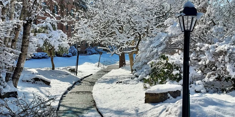 Walking path to the entrance covered in snow.