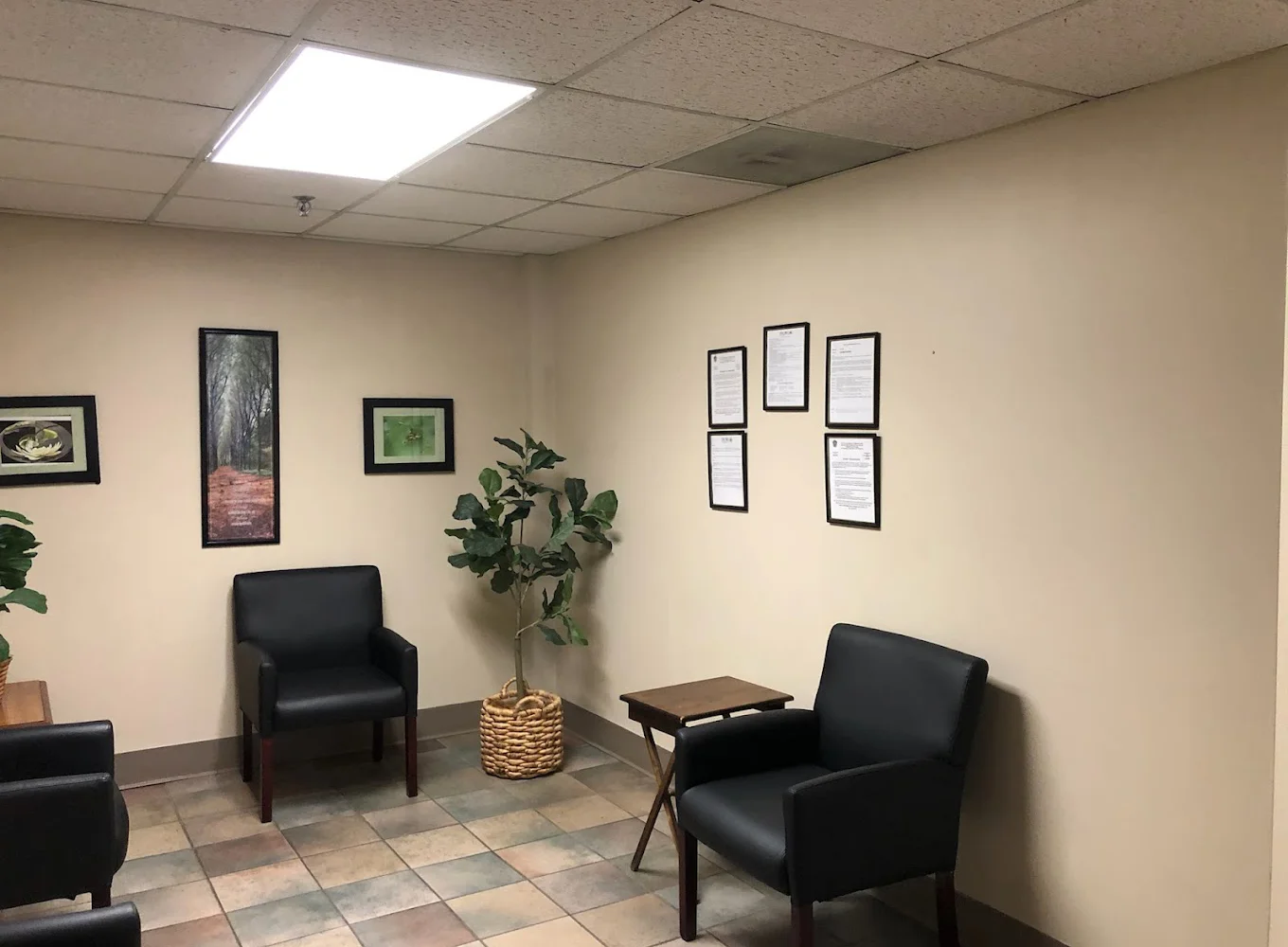 Waiting area with chairs, wall art, and potted plant