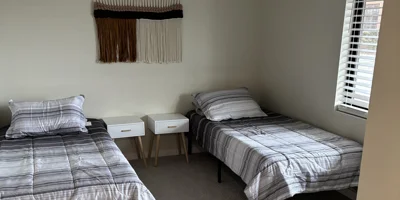 Bedroom with two twin beds, dresser, pillows, and gray bedding.