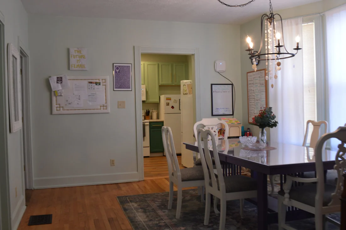 Amethyst House Inc Bloomington In 1