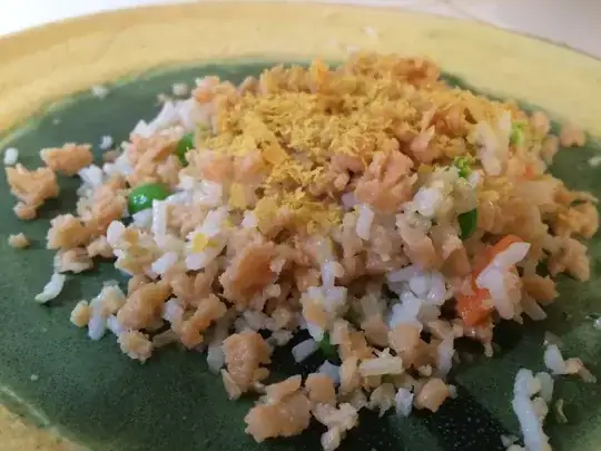 Picture of vegan cat food with rice and TVP on a plate