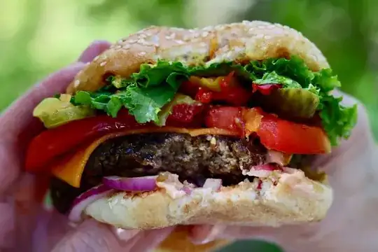 Seitan burger