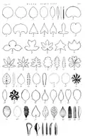 Folia Simplicia