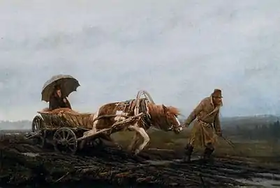 Zemsky doctor