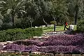 Walking through Metri Park