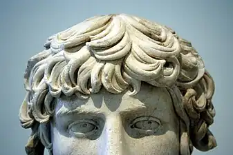Eyes and hair.