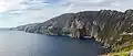 Slieve League Arctic-alpine plants