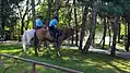 Mounted Gendarms in the IOR Park&nbsp;[ro]