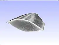 3D view of part of a cuttlebone at low resolution.