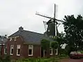 House and wind mill windlust