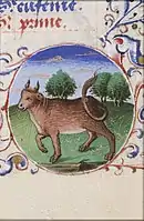 April - Taurus