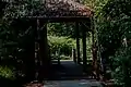 BNR tree nursery