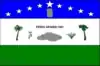 Flag of Pedra Grande, Rio Grande do Norte