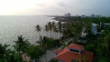 View from the Top