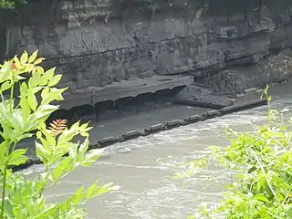 This plant is made visible because of a drop in the Rhone. It is normally 15 metres (49&nbsp;ft) below the level of the river.