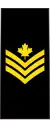 Petty officer 2nd class(French: Maître de 2e&nbsp;classe)(Royal Canadian Navy)