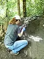 Ivy leaf decoration for mud sofa