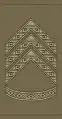 Sergent(Royal Danish Army)