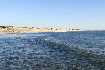 A 1,5&nbsp;km way along the Sand dunes in Ofir, Esposende.