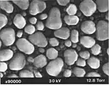 Resolution test specimen of gold particles on carbon in ESEM, at high magnification. Field width 1.2&nbsp;µm