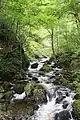 Along the Falls Trail