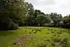 Moorgreen Meadows