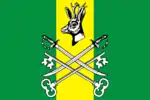 Flag of Shilkinsky District