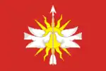 Flag of Solnechny