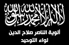 Popular Resistance Committees