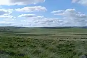 Foxtor Mires, Devon, UK