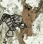 Thin section under plane-polarized light with the high relief mineral garnet (Grt) next to the intermediate relief mineral biotite (Bt).