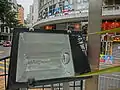 Metal halide floodlight