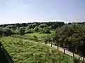 Horsenden Hill