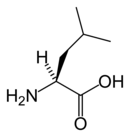 L-Leucine(Leu&nbsp;/&nbsp;L)